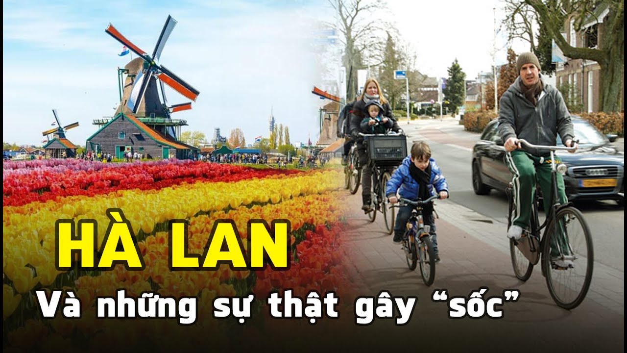 Những sự thật sẽ khiến bạn 