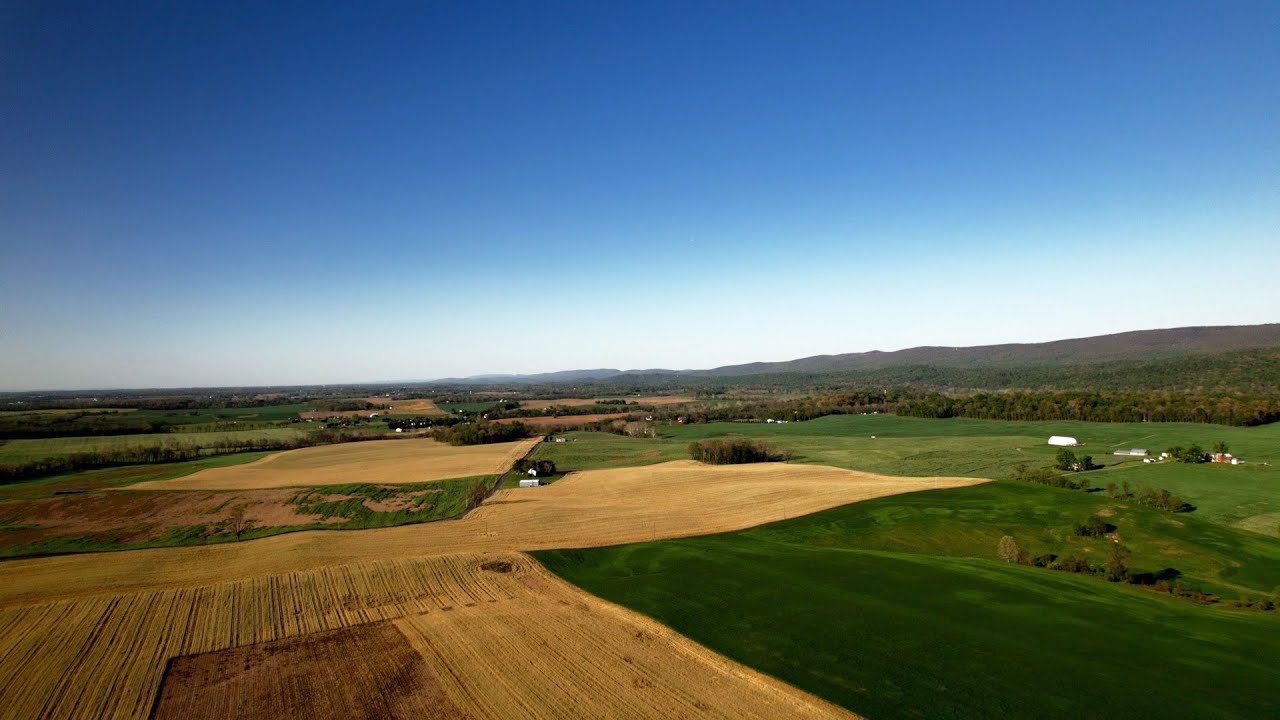 County Agricultural Close-up: Clarke County