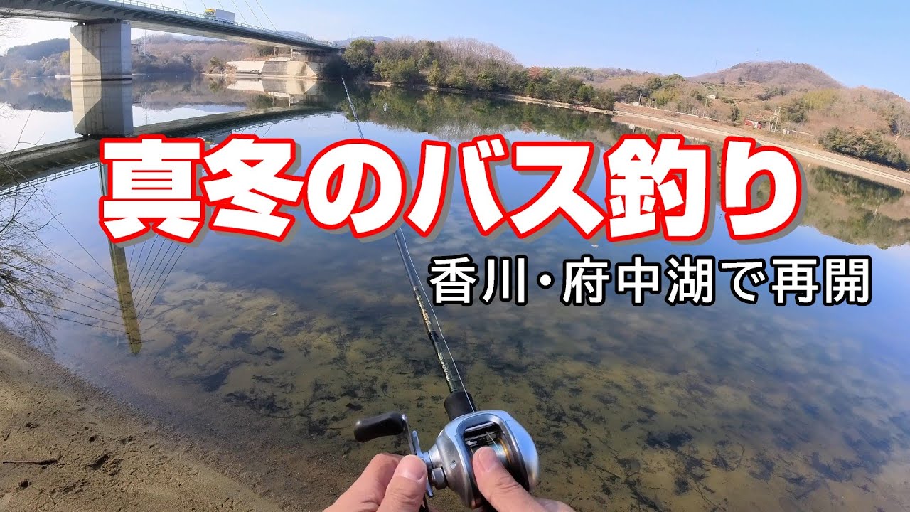 真冬のバス釣り 香川県府中湖で再開してみた【アラ還男の備忘録】