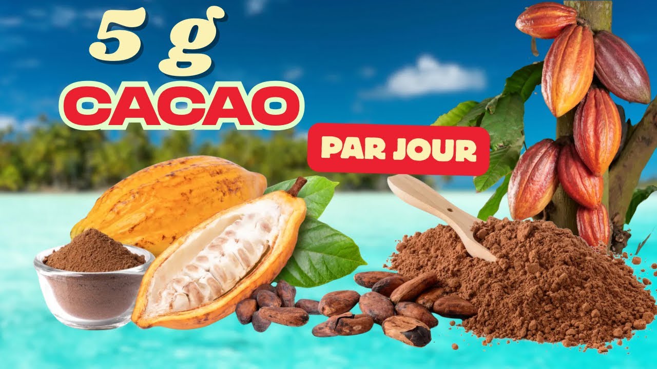 Cacao au quotidien ? Bienfaits, dose et sécurité