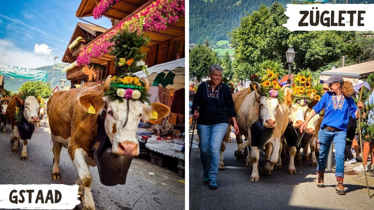 Szwajcarskie święto sprowadzania kr&oacute;w z g&oacute;rskich pastwisk | Z&uuml;glete / Gstaad