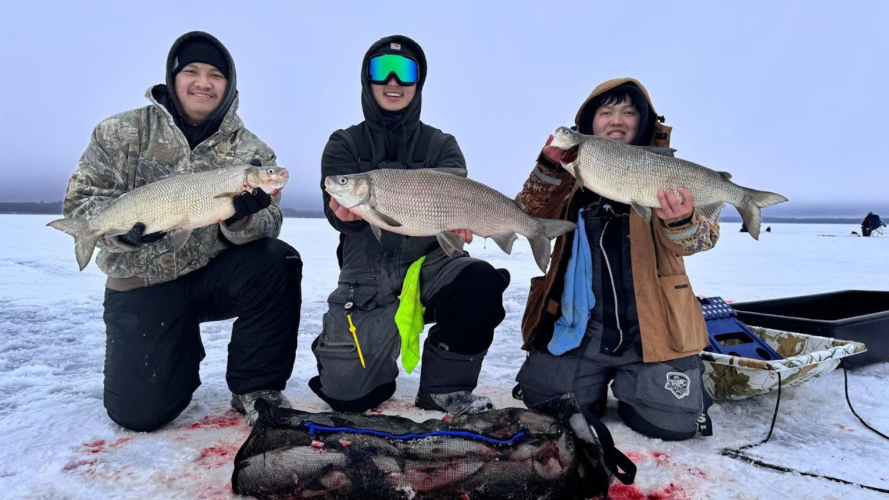 Hmong Tullibee White Fish Fishing at Leech Lake