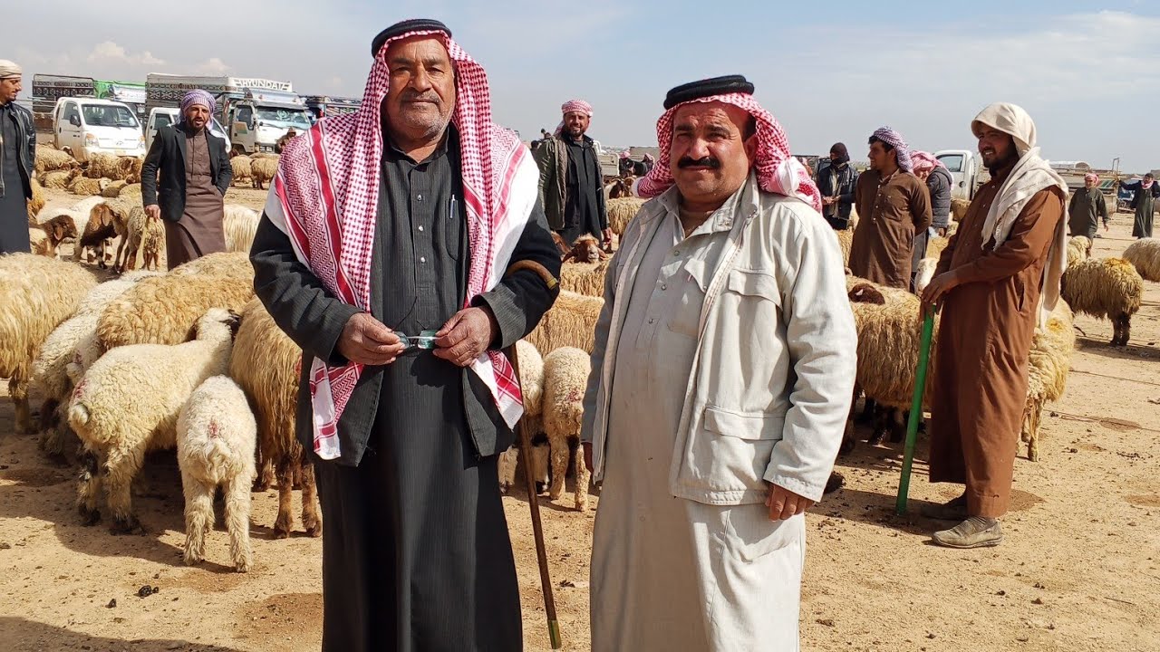 بيزار تل حسان الدلال حج خميس وحج فيصل 2/23 حركة وسط 0998818346 اخوكم عيسى المحمد 