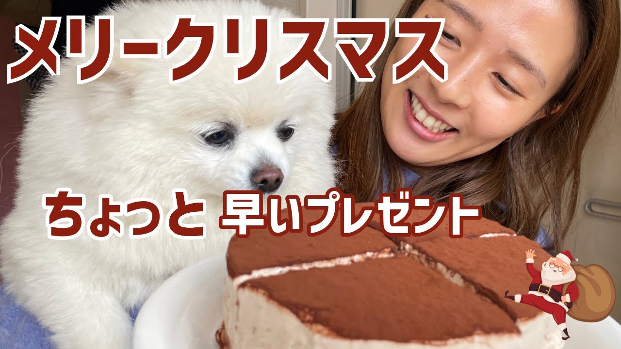 釣り行くの我慢、だってクリスマス