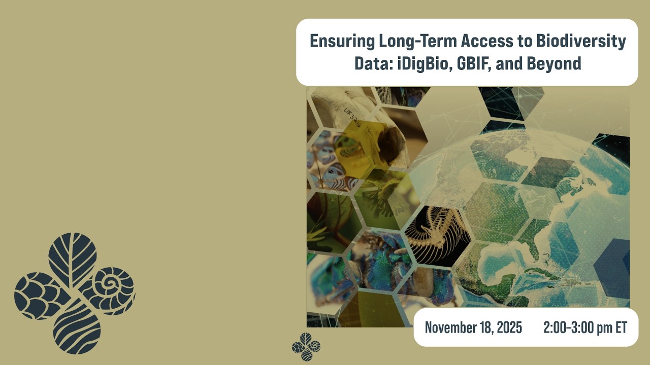 Ensuring Long-Term Access to Biodiversity Data: iDigBio, GBIF, and Beyond | Webinar (Nov 18, 2025)