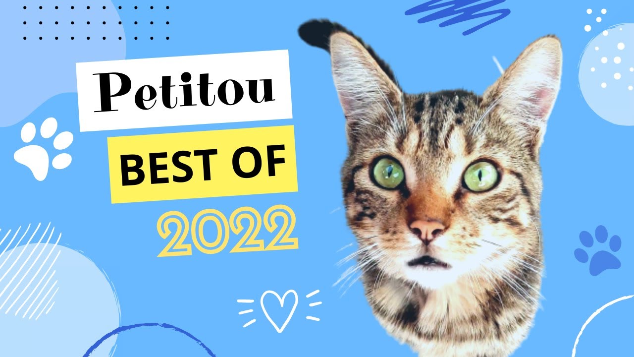 Petitou BesTOUF 2022