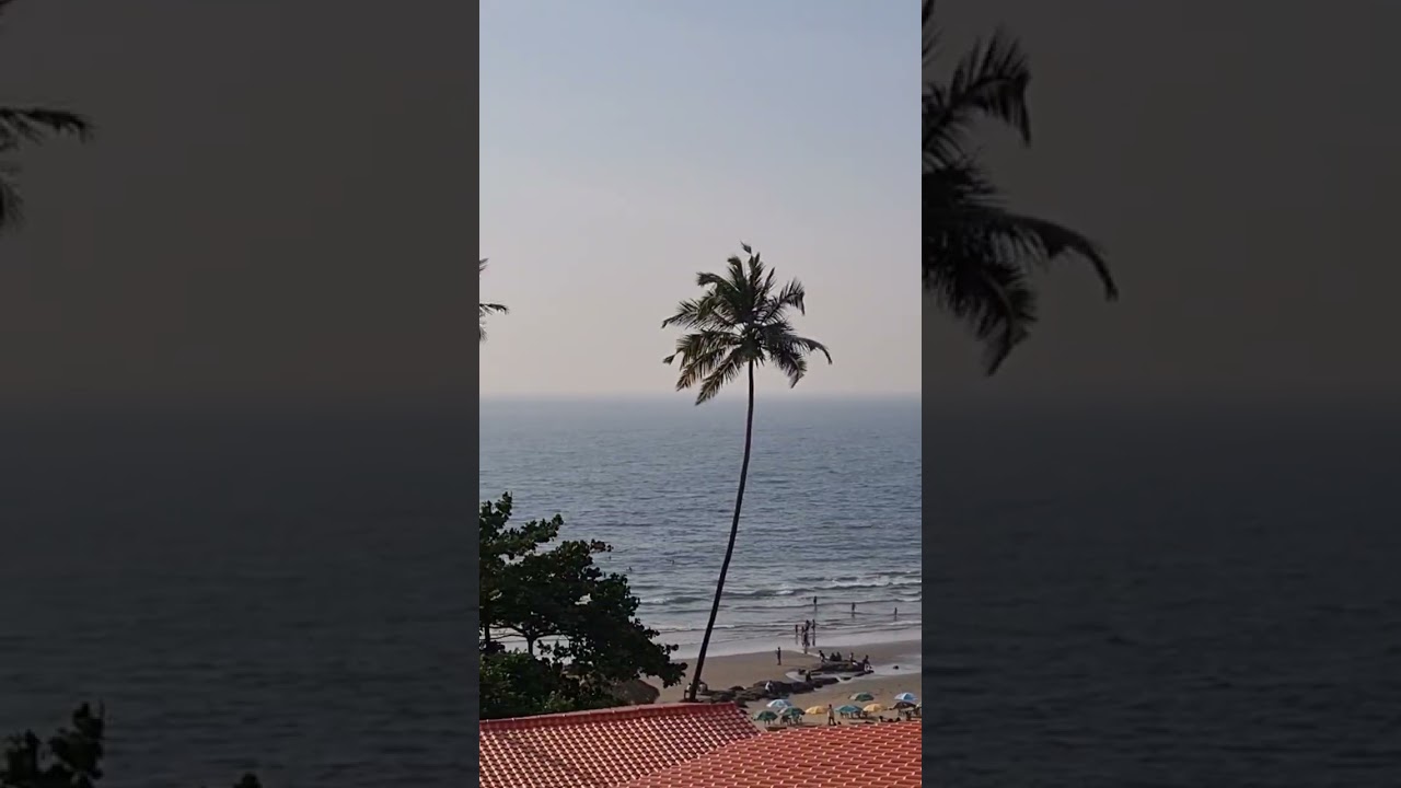 Views from Titlie North Goa #goa #goadiaries #views #beach #ocean #travel #travelvlog