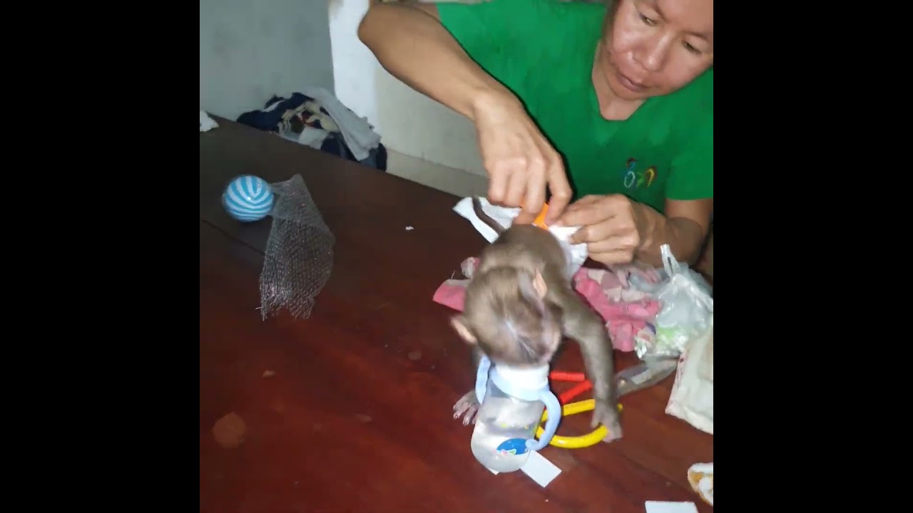 Monkey yuri Stop Baby My Love