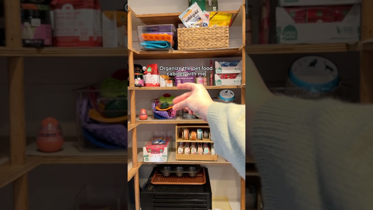 Organize and restock the pet food cabinet 🐶🐱 #asmr #restock #petshorts #pets