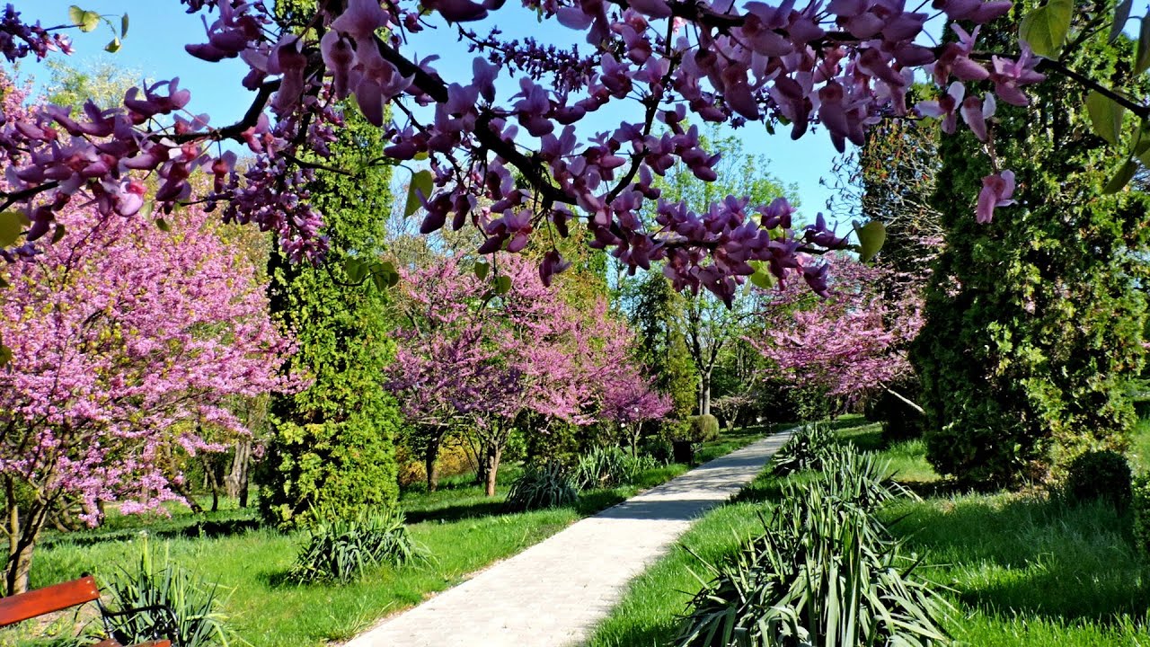 Plimbare prin Gradina Botanică Iași, în  Aprilie 2020