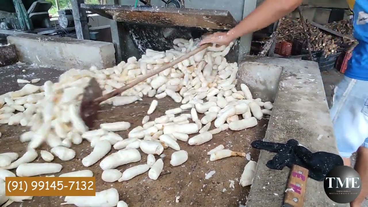 Descascador de mandioca, 2 metros de comprimento, produção diária de 4+ toneladas.