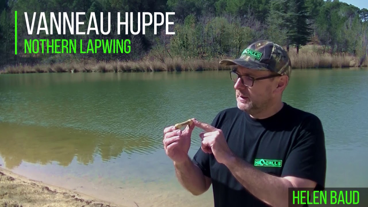 APPEAUX VANNEAU HUPPE