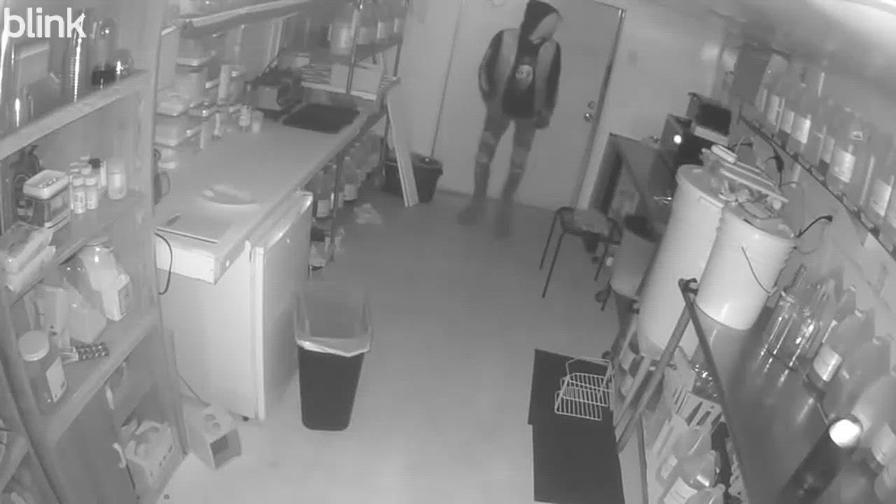 Two suspects sought in connection with snowball stand burglary