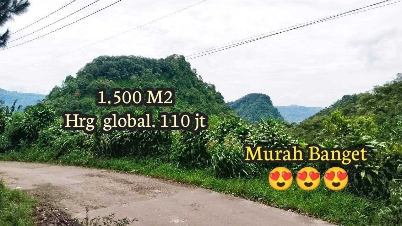 Dijual Tanah Kebun Nempel Jln Raya Kabupaten Bagus Bangun Villa Berkebun Inves Mdpl 900
