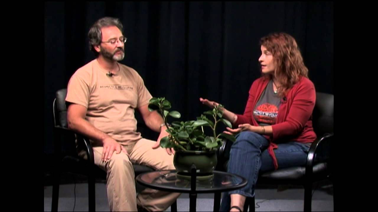 Pt 3: Why RESPECT? - RR's Stacey Wear & Gerard Ungerman interviewed on Free Speech TV