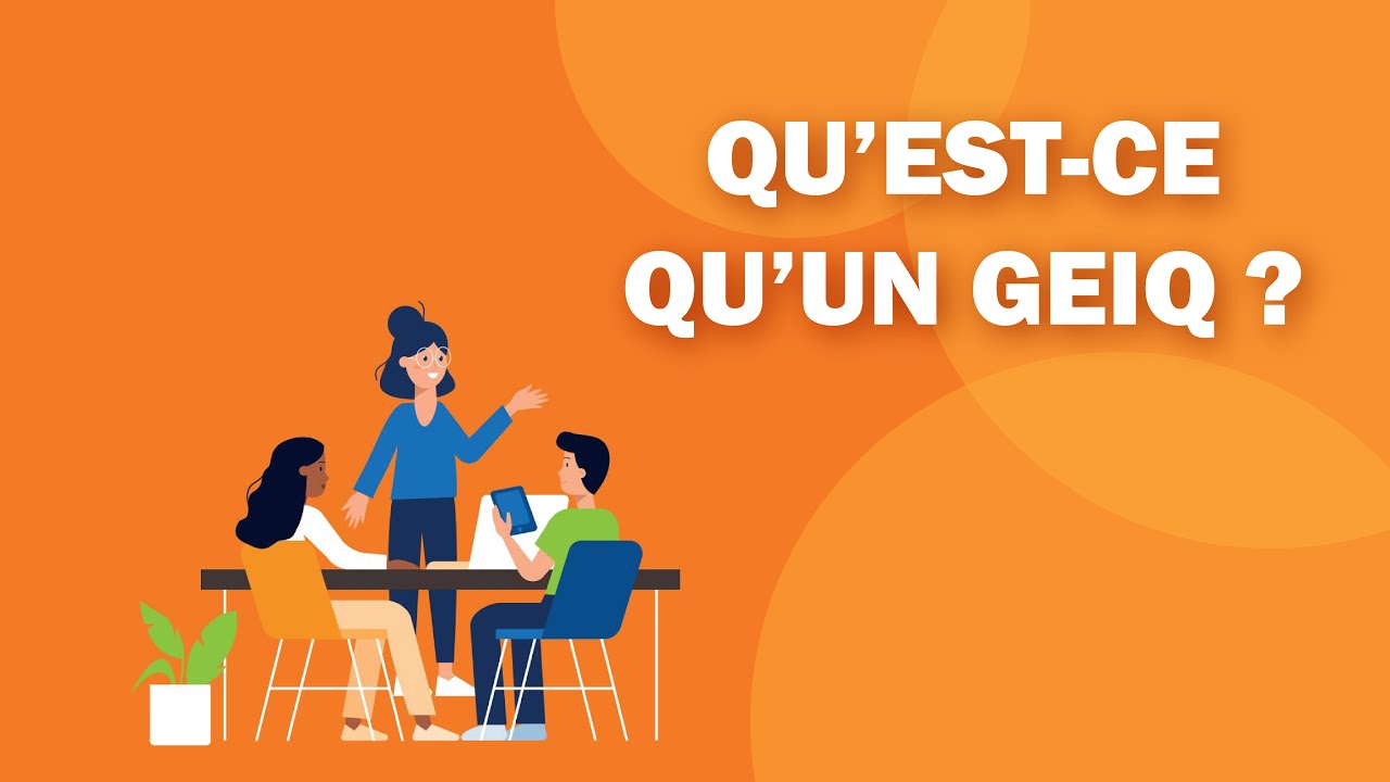 Qu'est ce que le GEIQ ?
