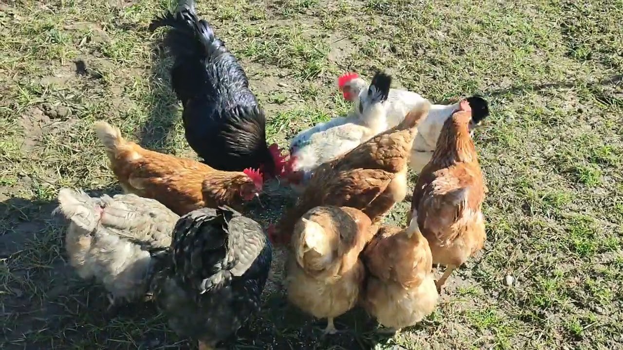 Наконец то тёплые деньки😊 