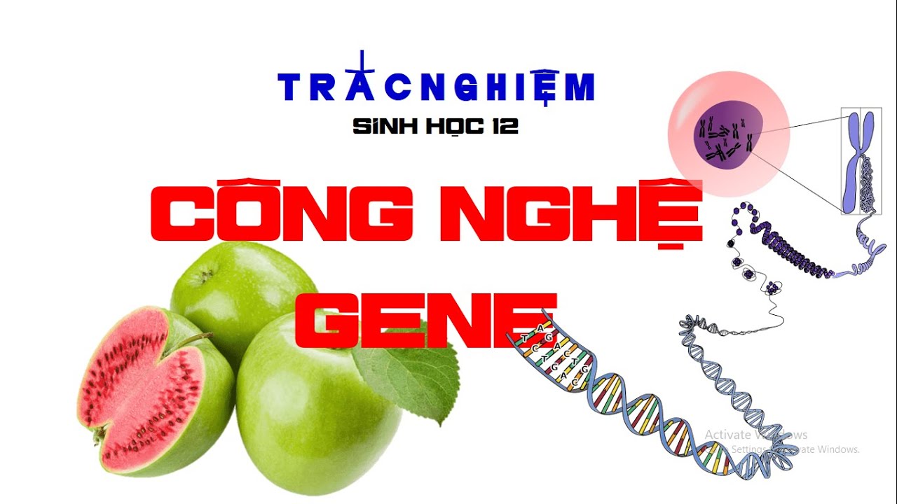 CÔNG NGHỆ GENE | TRẮC NGHIỆM CƠ BẢN SINH HỌC 12