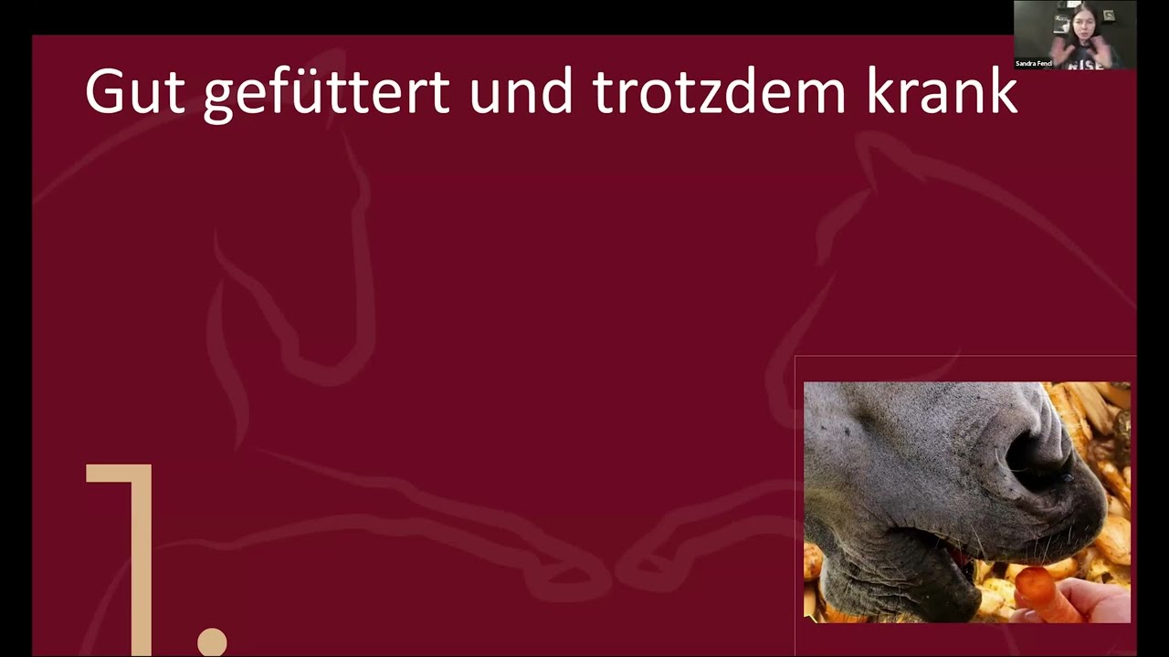 🐎☯ Pferdegesundheits Tipps - die musst Du kennen