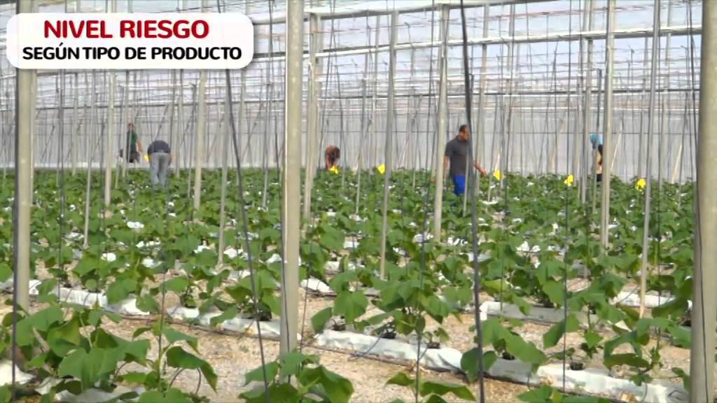 Productos Fitosanitarios en el Sector Agrario.