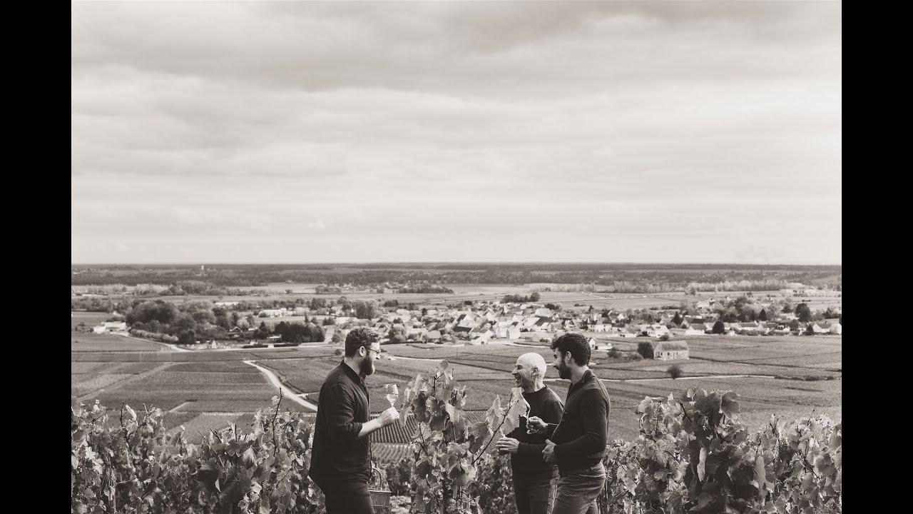 Puligny Montrachet Premier Cru 'Les Folatieres'