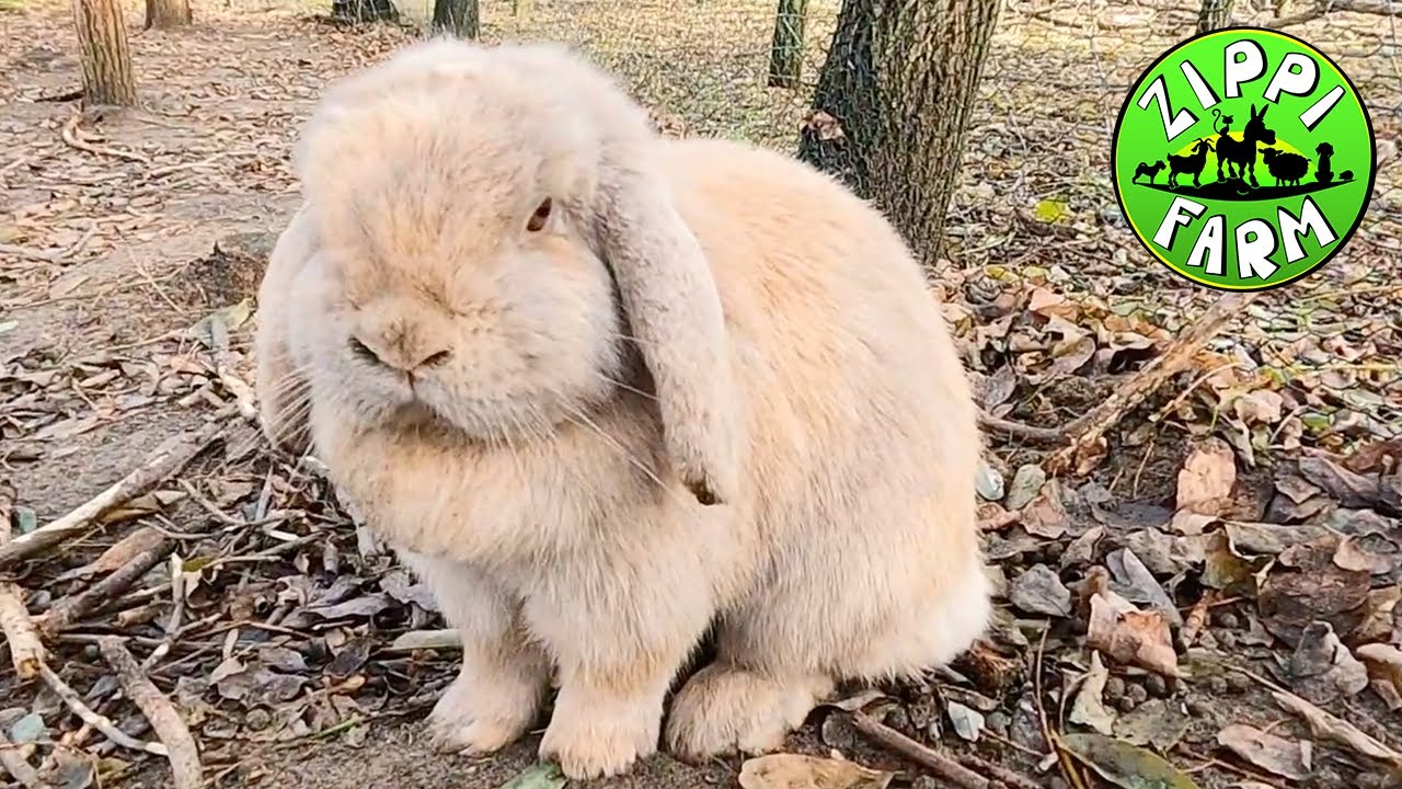 FarmNapló 27.rész