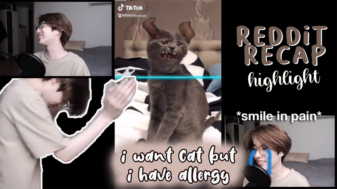 201124 Jae (Day6) reddit recap highlight | Cat allergy