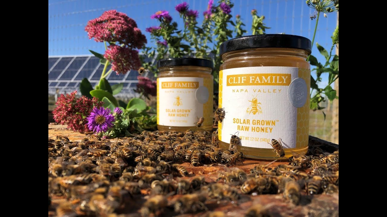 Clif Family Wines' Solar Grown Honey &ndash; Stacking the Benefits of Sustainability