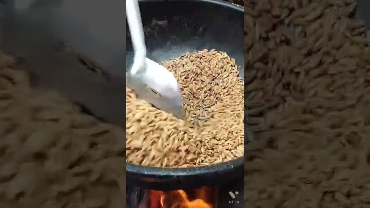 அவல் செய்முறை |Aval preparation|Flattened rice|மட்டை அரிசி|poha
