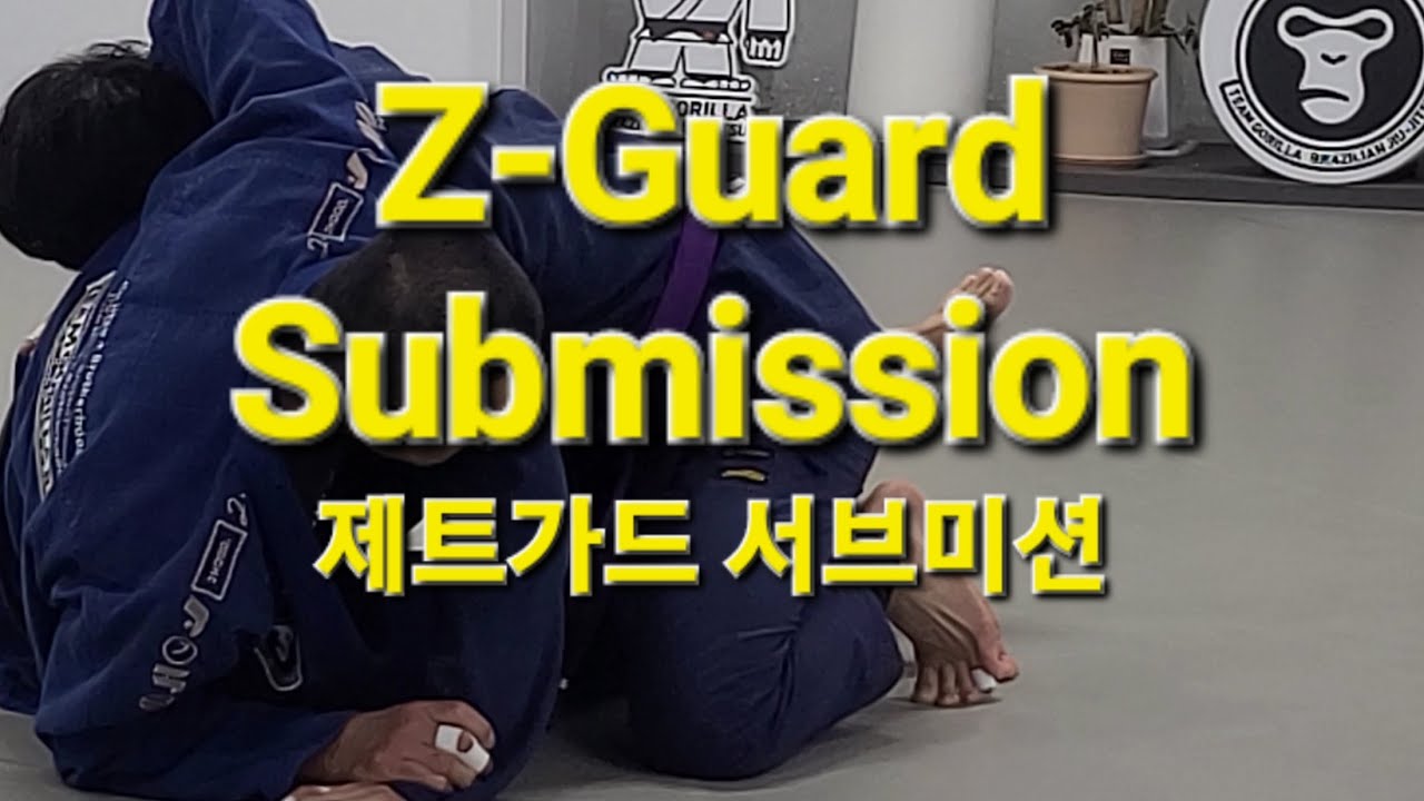 제트가드 서브미션 Z-Guard Submission (기술도움 : 김민우) #제트가드 #zguard #submission