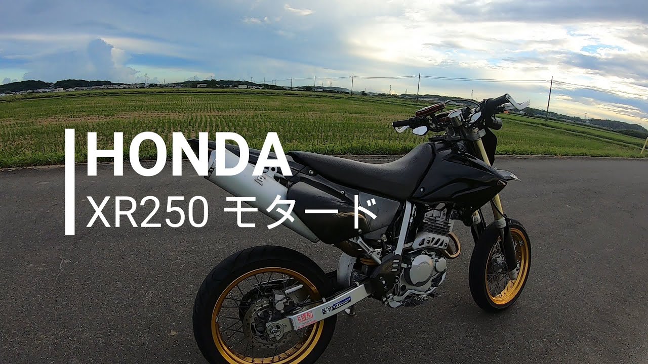 バイク紹介 XR250モタード