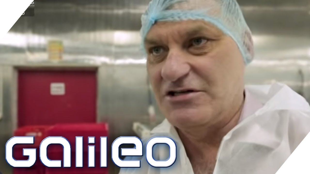 Der größte Wurstmacher Indiens | Galileo | ProSieben