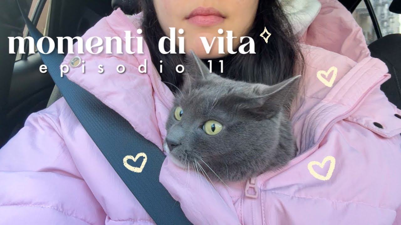 cosa è successo nelle ultime settimane • momenti di vita ep.11