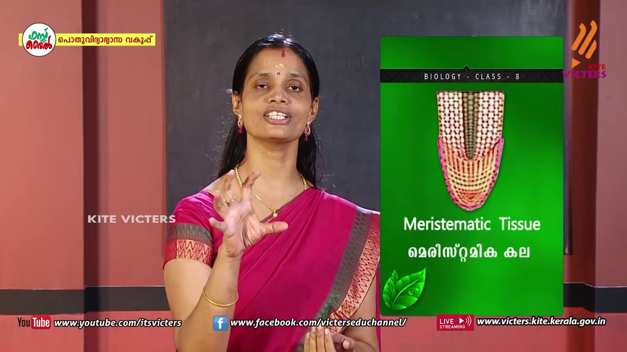 KITE VICTERS STD 08 Biology Class 10 (First Bell-ഫസ്റ്റ്