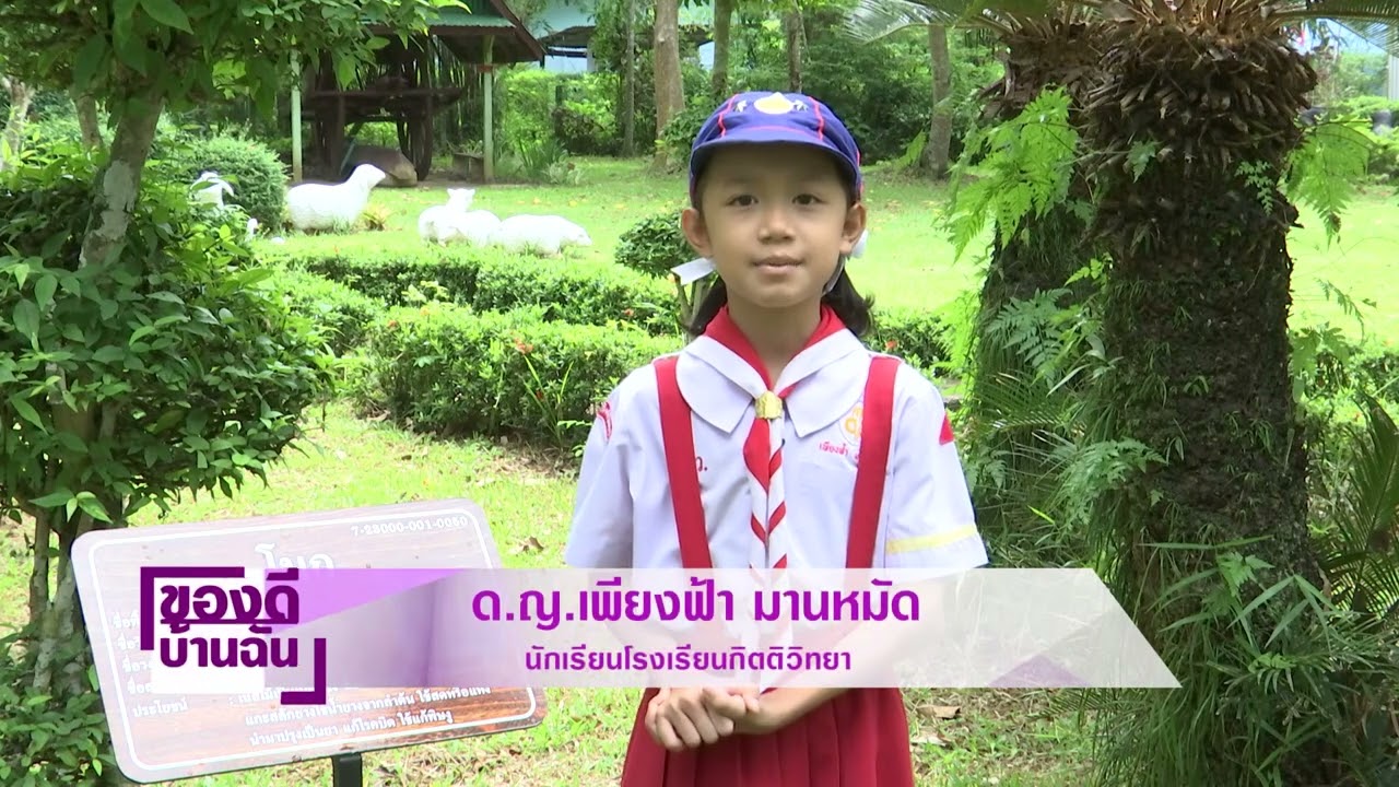 ของดีบ้านฉัน โรงเรียนกิตติวิทยาจังหวัดตราด