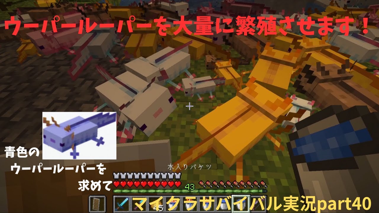 【マインクラフト実況part40】ウーパールーパーを大量に繁殖させます！