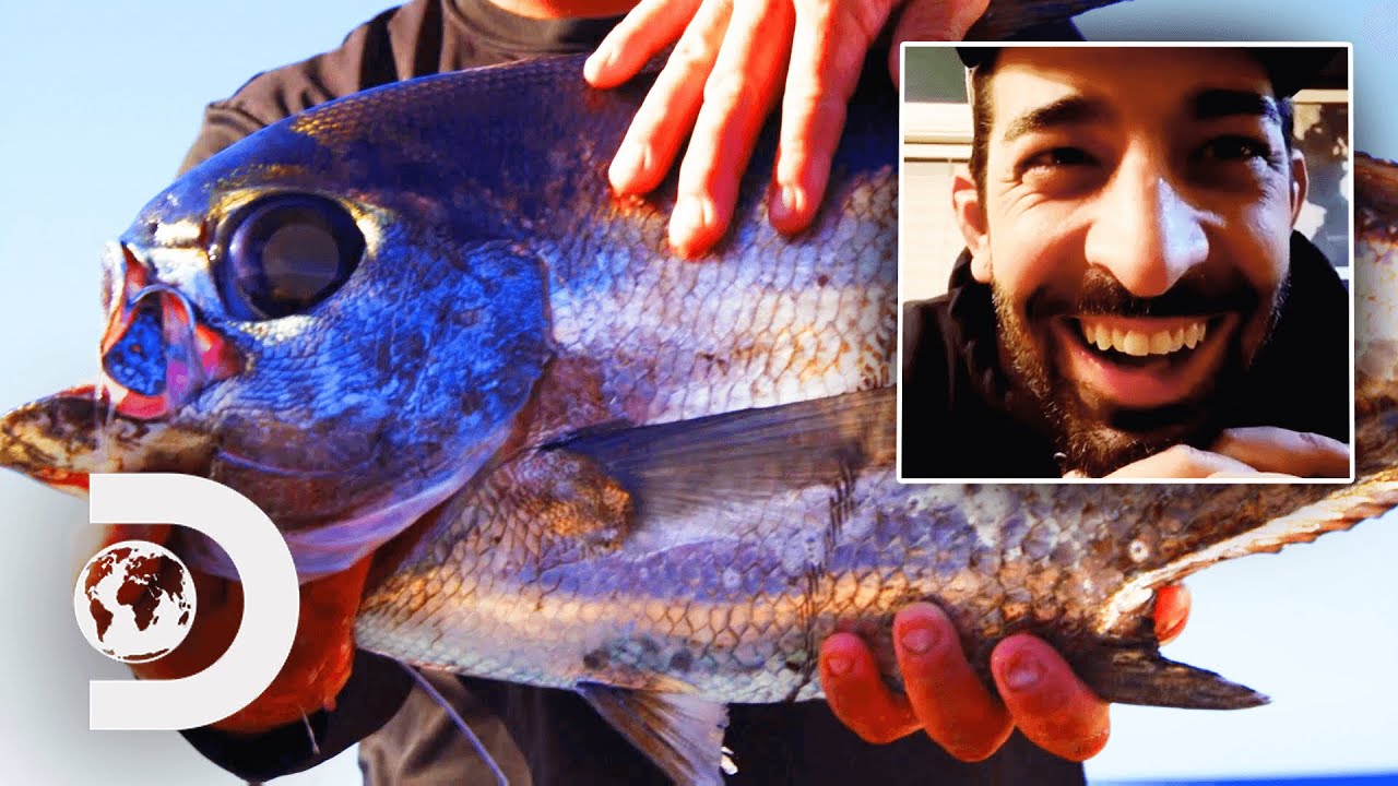 Why Is Catching A Monchong So Difficult? | Deadliest Catch: Bloodline