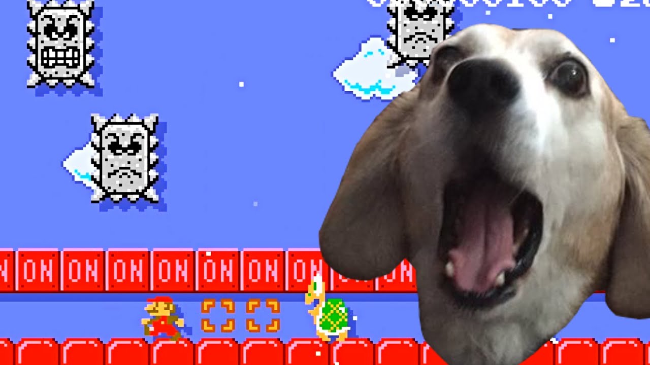 Super Mario Maker 2 🔧 Walking the Doge 🔧 TipsMagee