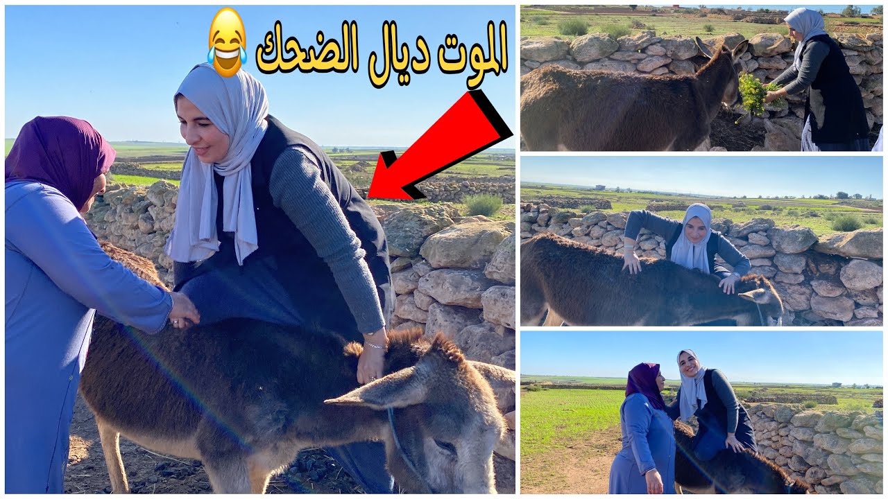 تسارينا أنا و اختي نعيمة - طيحنا الحمار الجديد 😮