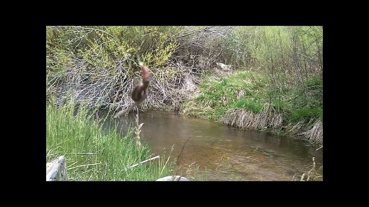 Hand Line Fishing, Fishing with my Survival Fishing Kit