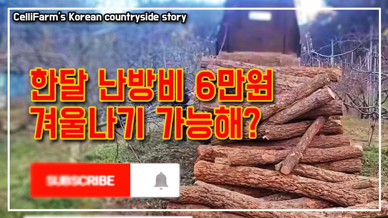 한달 6만원으로 반팔 입고 겨울 나는 방법  화목난로의 장단점 첼리팜 시골이야기 CelliFarm's Korean countryside story