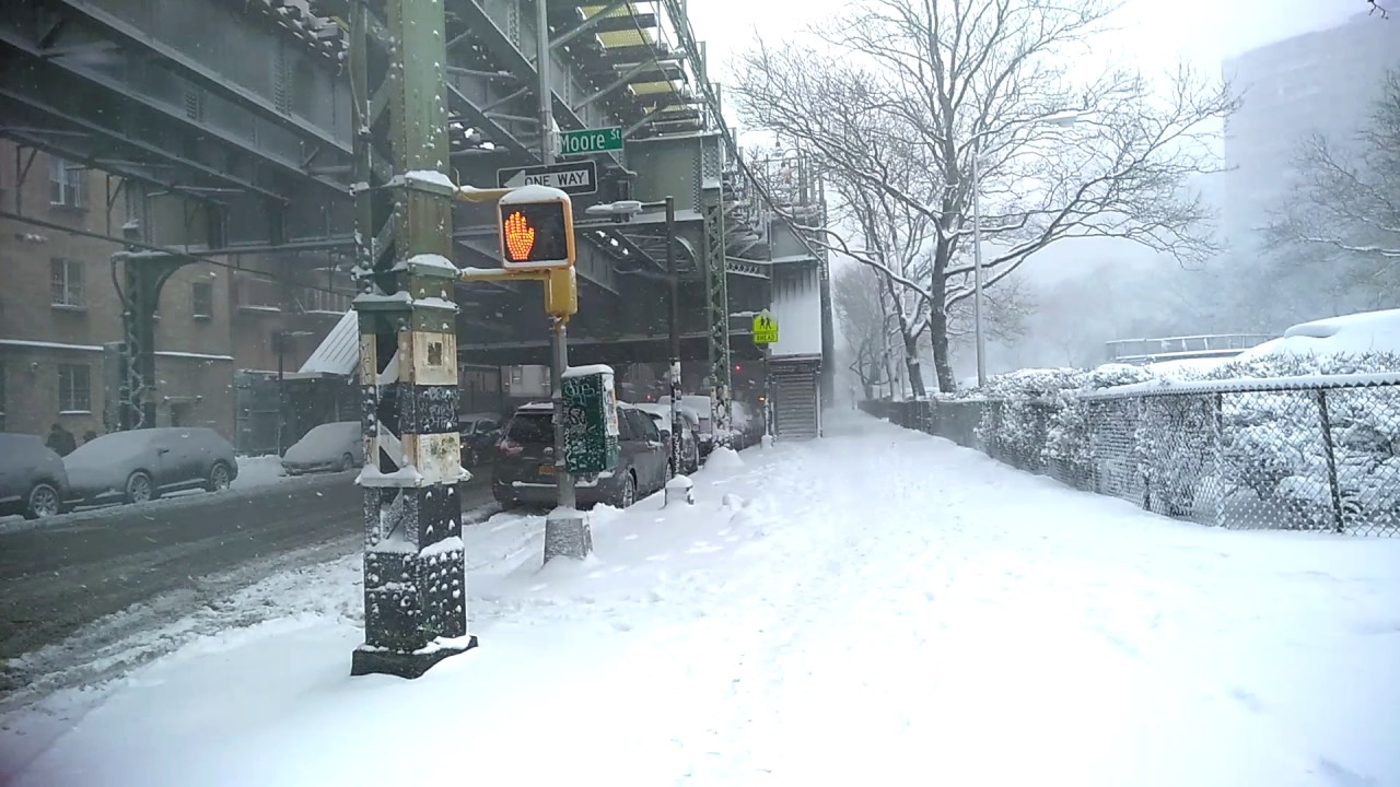 A Walk During Winter Storm Niko. Brooklyn, NY.