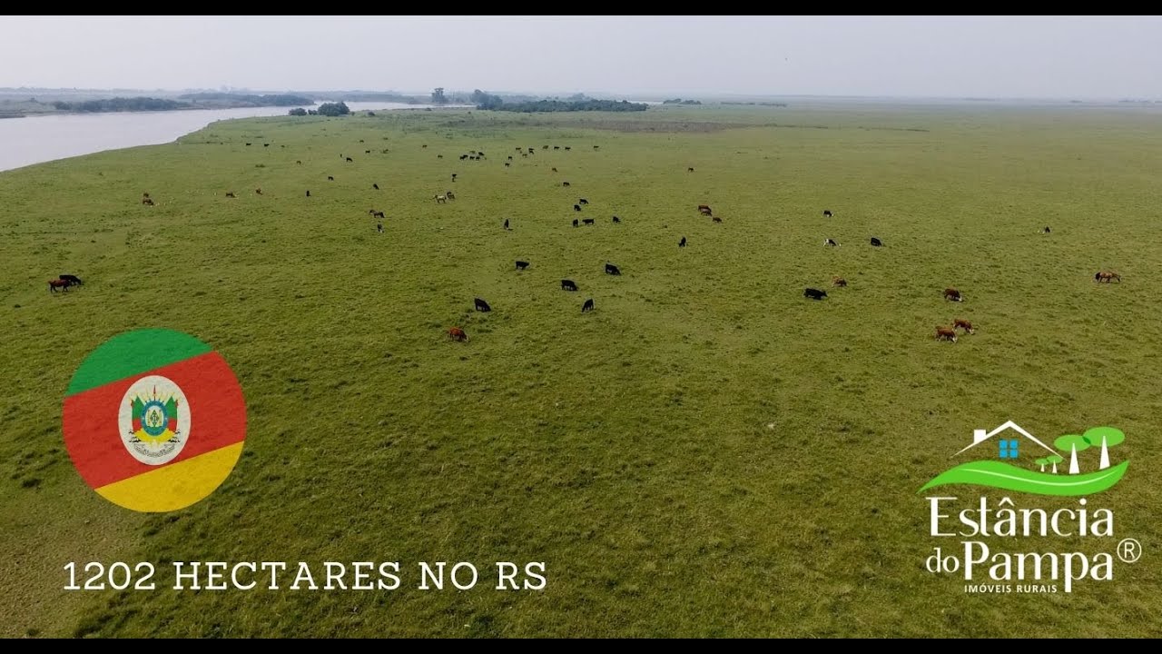 FAZENDA À VENDA NO RS COM 1202 HA