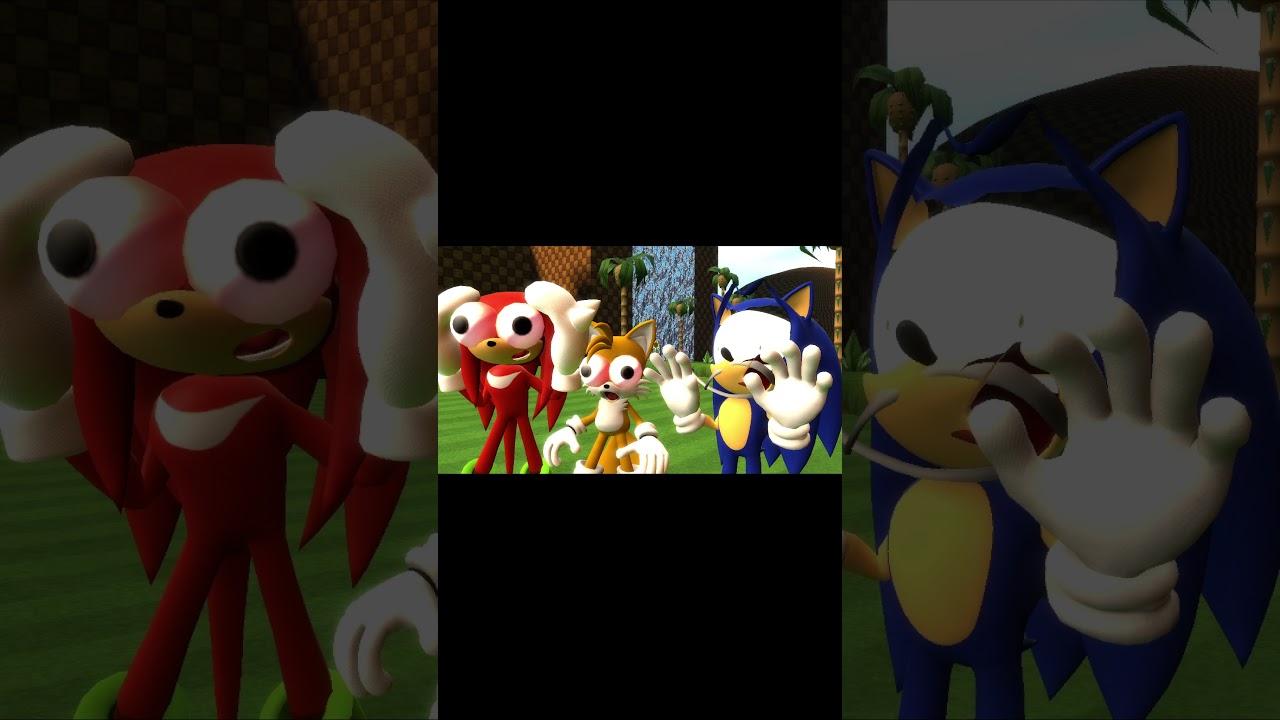 Pizza Tower Screaming Meme but it's Sonic and Friends [GMOD]