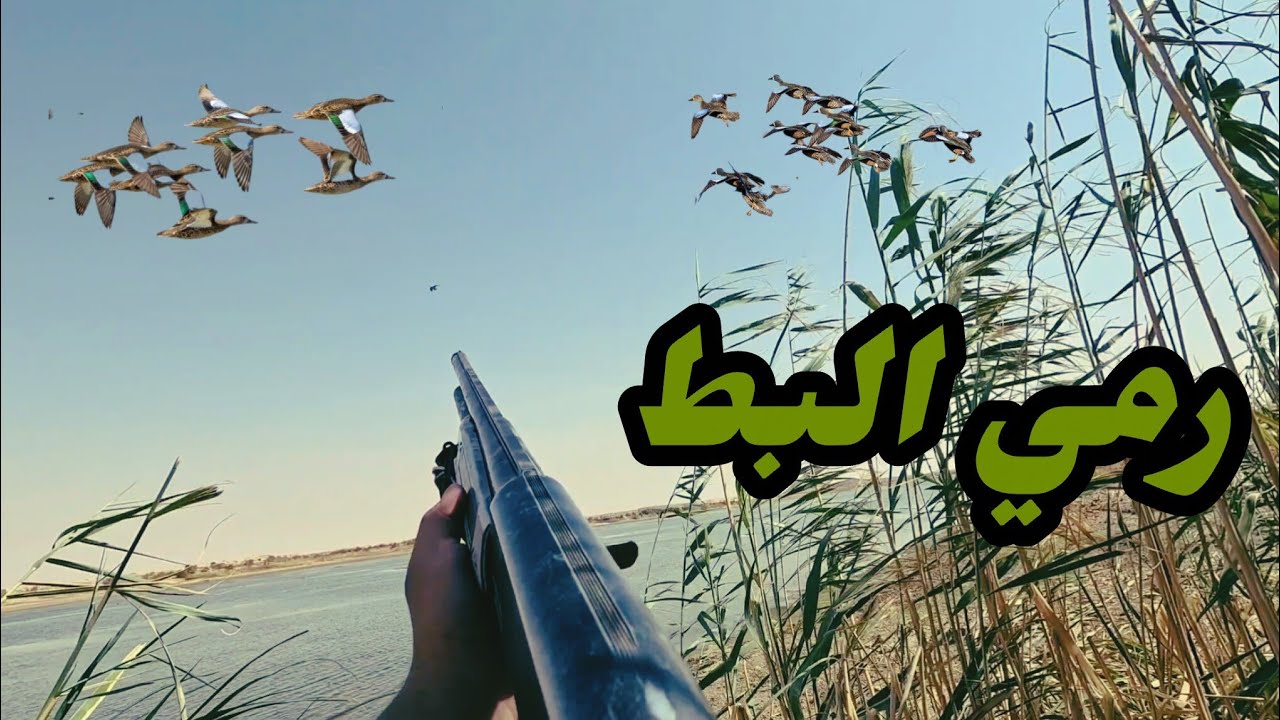 رحلة صيد انواع البط والشواء في البر 