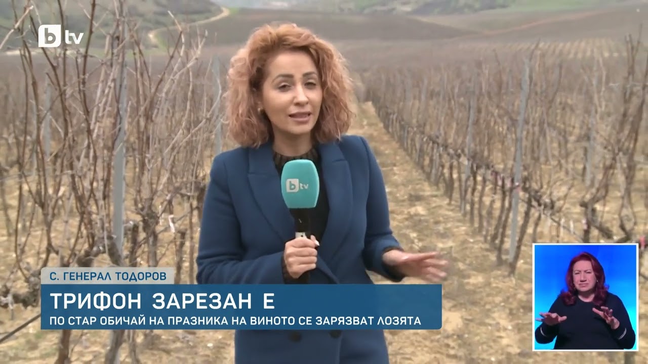Трифон Зарезан: Науката и ритуалът зад БЪЛГАРСКОТО вино, което покорява Япония!