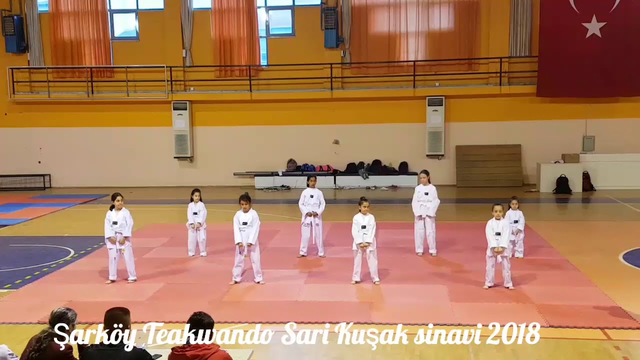 Teakwando Beyaz Kuşaktan Sari Kuşak sinavi