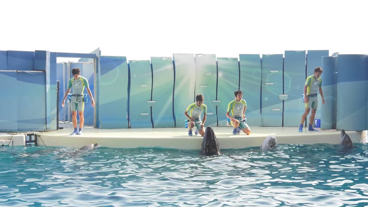 ◆えのすい　きずな（2016．08．13）15：30~ ◆