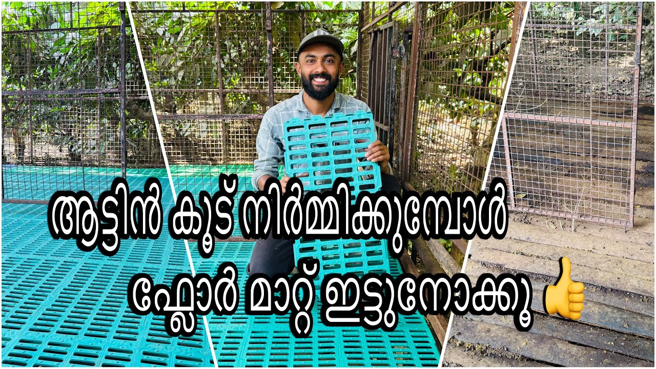 ആട്ടിൻ കൂട്ടിലിട്ട പന മാറ്റി ഫ്ലോർ മാറ്റ് ഇട്ടപ്പോൾ 😳😊👍