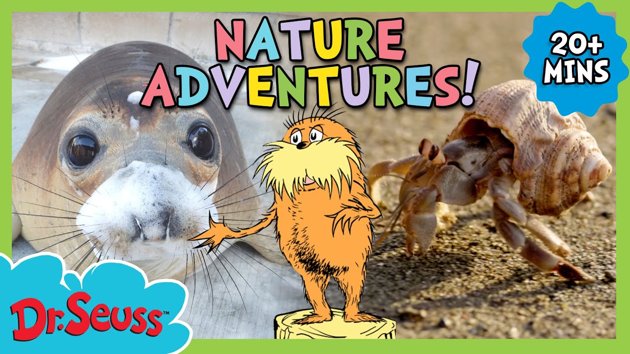 Quadruple Episode! Let's Learn About the Beach, Wildlife and Farm Life! | Dr. Seuss